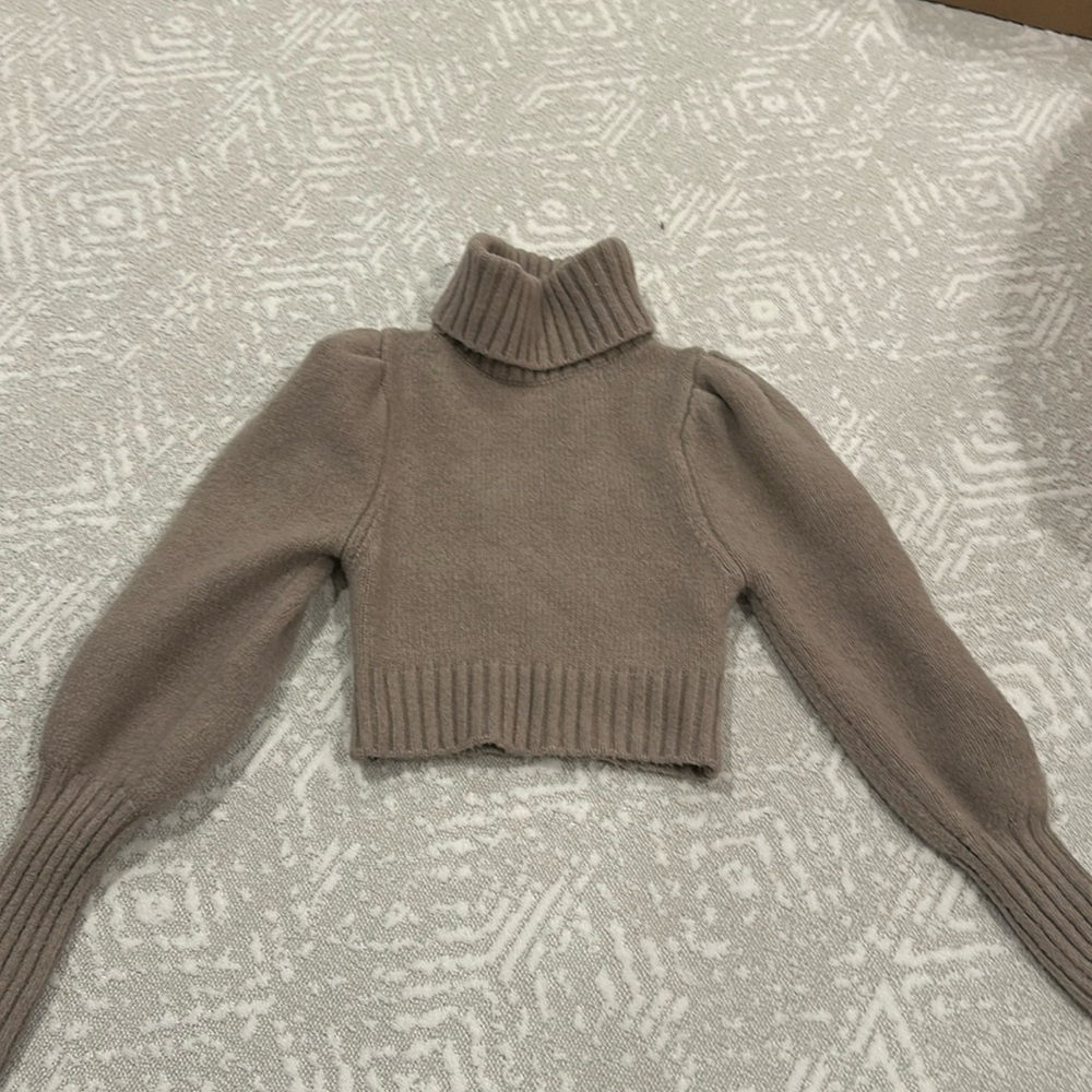 Zara Puff Sleeve Turtleneck